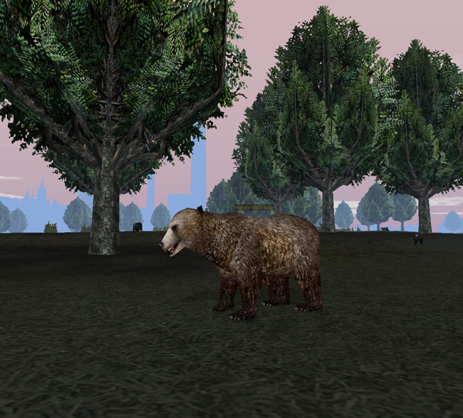 File:Hunger Black Bear-11.png