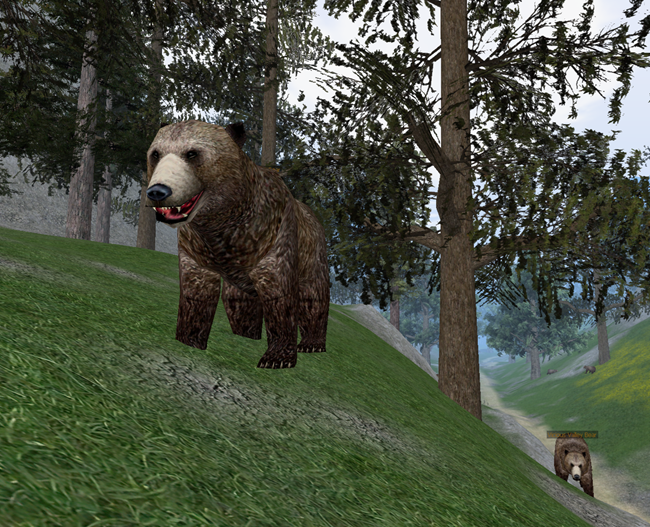 File:Vicious Valley Bear-36.png