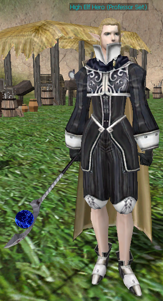 File:High Elf Hero.png