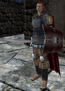 Male merc knight (49)