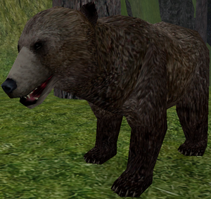 Brown Bear-11.png