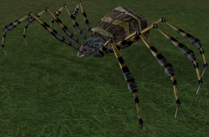 Brown Striped Spider-7.png