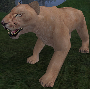 Small Swamp Lioness-49.png