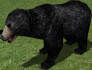 Small Black Bear-8.png