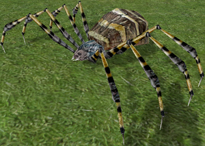 Striped Spider-6.png