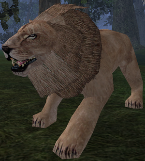 Small Swamp Lion-49.png