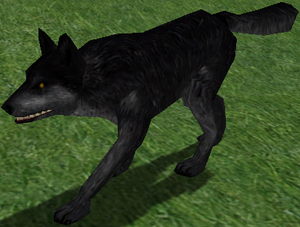 Black Wolf-7.png