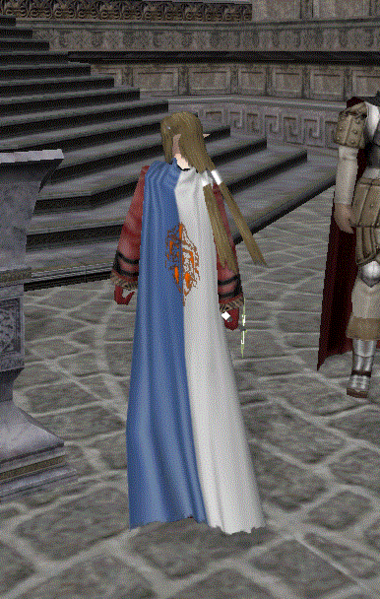 File:GuildCloak2.png