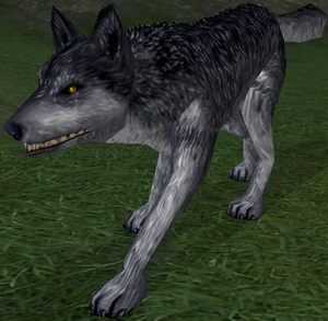 Giant Silver Wolf-15.png