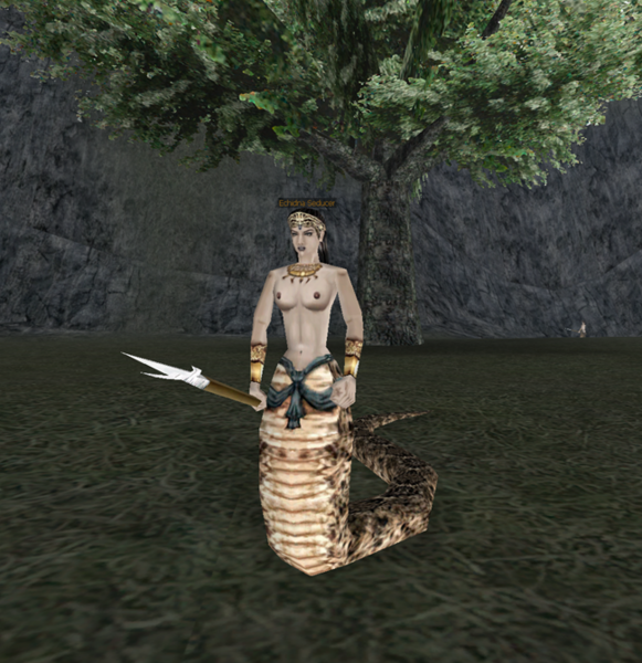 File:Echidna Seducer-35.png