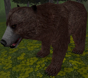 Young Grizzly-8.png