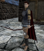 Male merc archer (30)