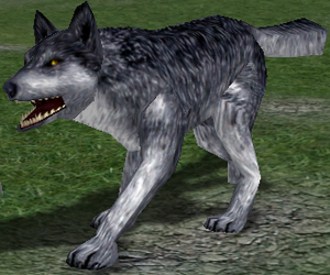Silver Gorge Wolf-31.png