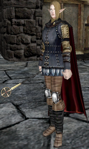 Mercenary Cleric-male-40.png