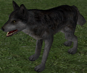 Small Gray Wolf-3.png