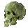 Poison Skeleton's Skull