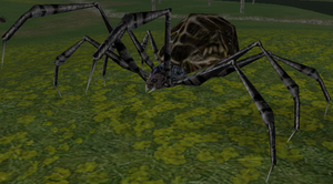 Mutated Poisonous Spider-8.png