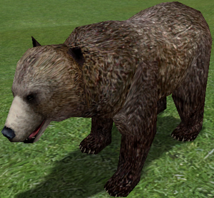 Small Brown Bear-7.png