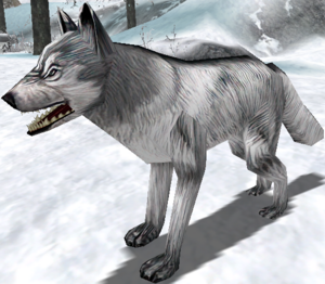 White Storm Wolf-26.png