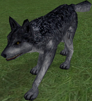 Young Silver Wolf-7.png