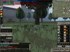 Fearcot (closed beta)