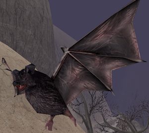 Temple Bat-50.png