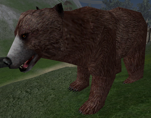 Valley Grizzly-40.png