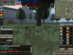 Fearcot (closed beta)