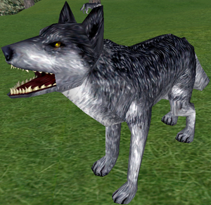 Small Silver Wolf-9.png