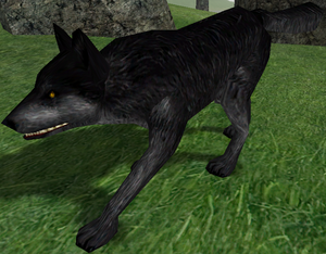 Alpha Black Wolf-7.png