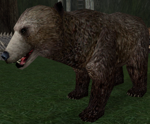 Giant Brown Bear-15.png