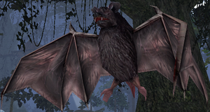 Giant Witch Bat-46.png