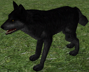 Small Black Wolf-3.png