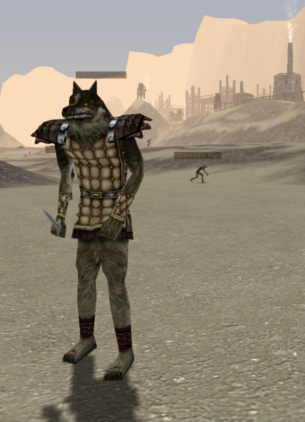 File:Lycanthrope Leader-29.png